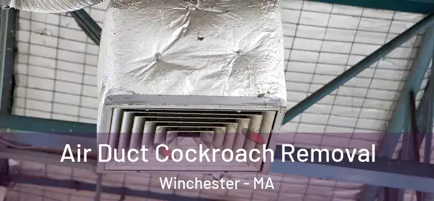 Air Duct Cockroach Removal Winchester - MA