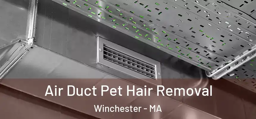 Air Duct Pet Hair Removal Winchester - MA