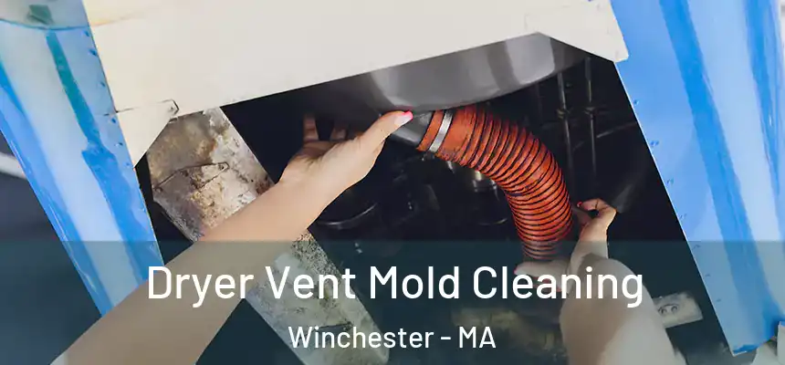  Dryer Vent Mold Cleaning Winchester - MA