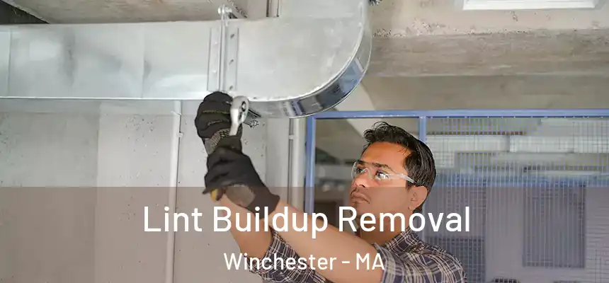  Lint Buildup Removal Winchester - MA