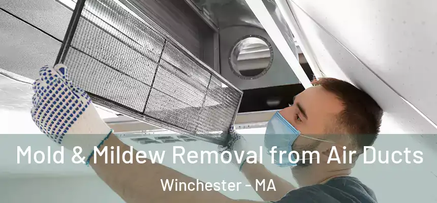 Mold & Mildew Removal from Air Ducts Winchester - MA