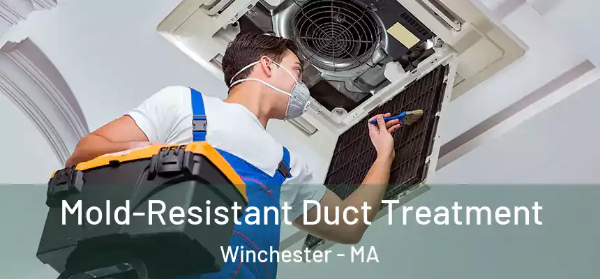  Mold-Resistant Duct Treatment Winchester - MA