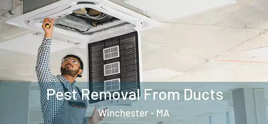 Pest Removal From Ducts Winchester - MA