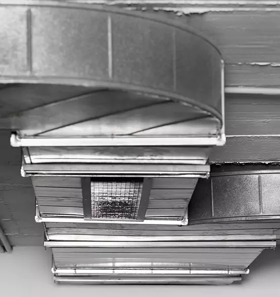 Professional Air Duct Pest Removal in Winchester, MA