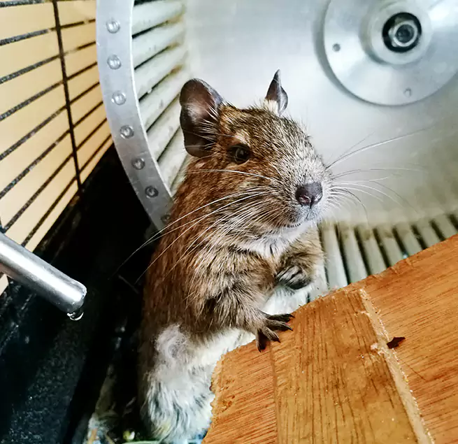 Why Homeowners & Businesses Trust Us Winchester, MA