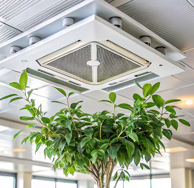 Why Homeowners & Businesses Trust Us in Winchester, MA